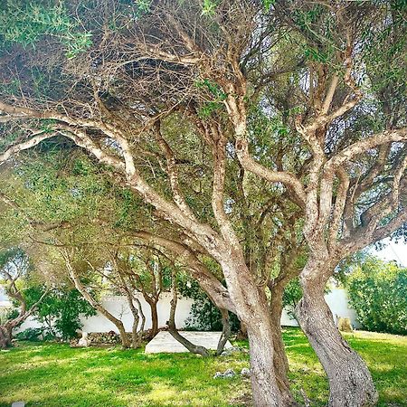 Starbal Apt Appartement Es Castell  Buitenkant foto