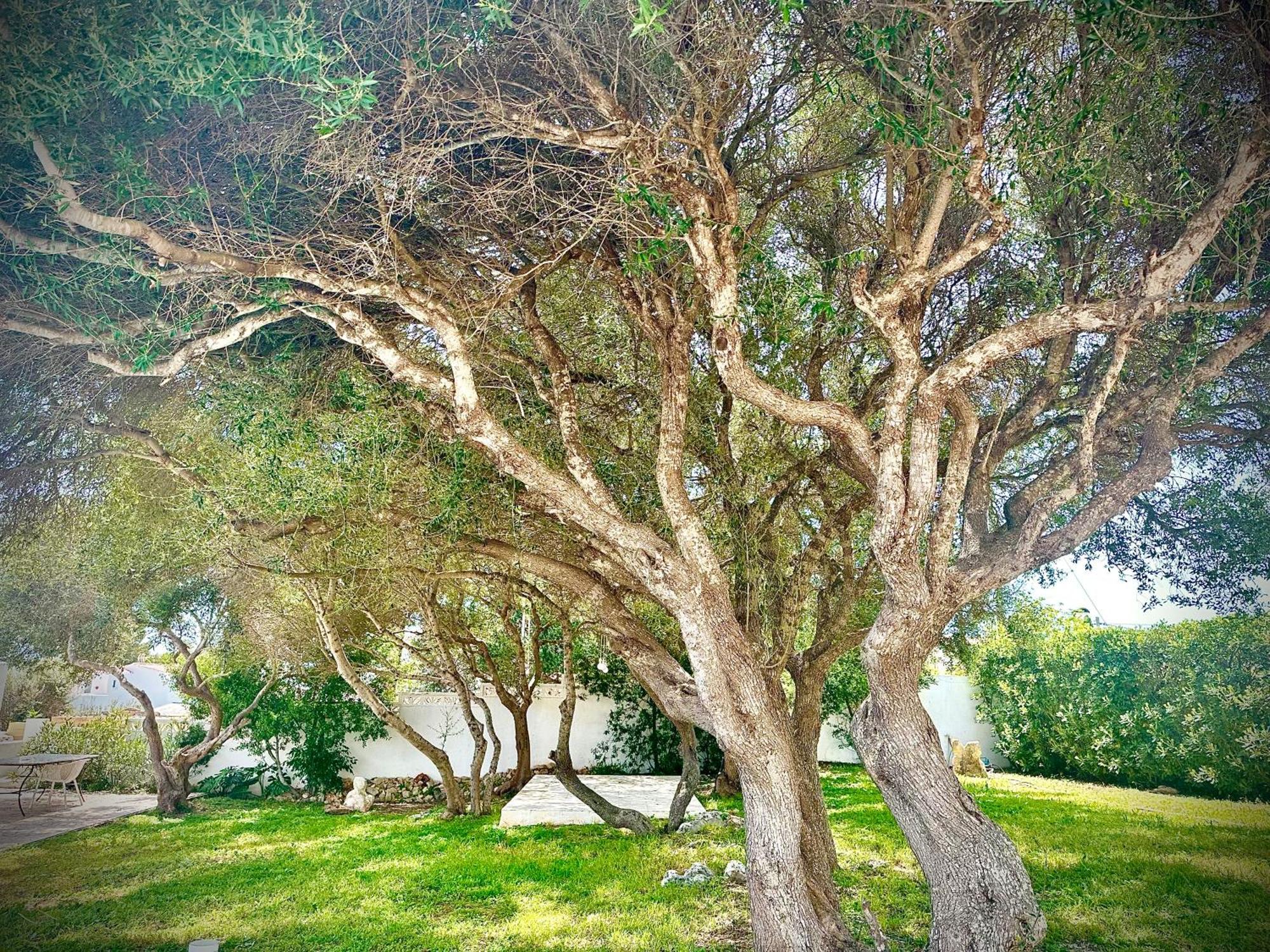 Starbal Apt Appartement Es Castell  Buitenkant foto